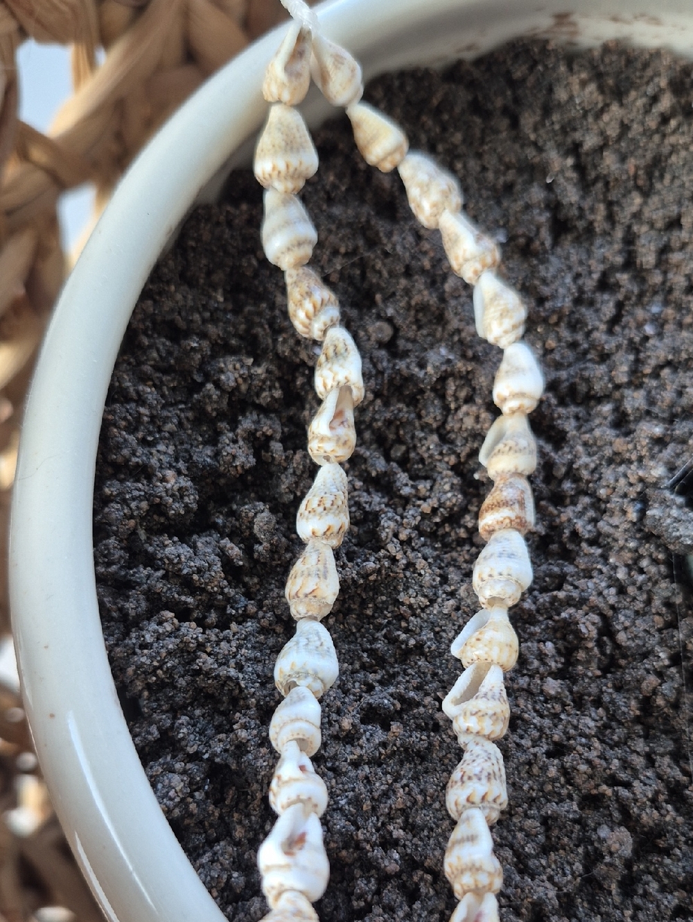 Sea Shell Necklace NEW - Picture 12 of 15